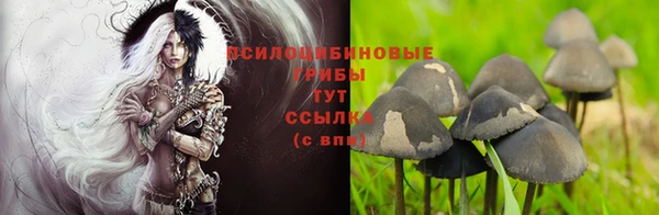 амфетамин Алексеевка