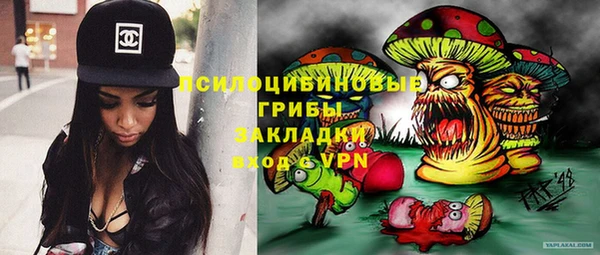 дурь Алзамай